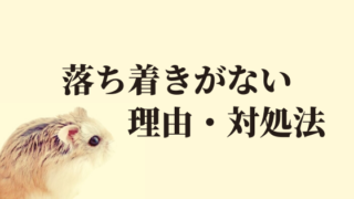 ハムスターのヒーターはつけっぱなしでも大丈夫 冬場の悩みを解決 ハムほし