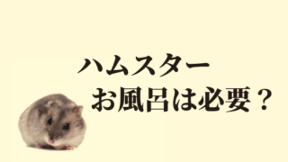 ハムスターが土に還る期間とは ペットとのお別れの仕方3選を紹介 ハムほし